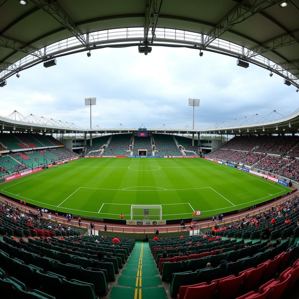 A.C. Siena tại sân vận động Stadio Artemio Franchi