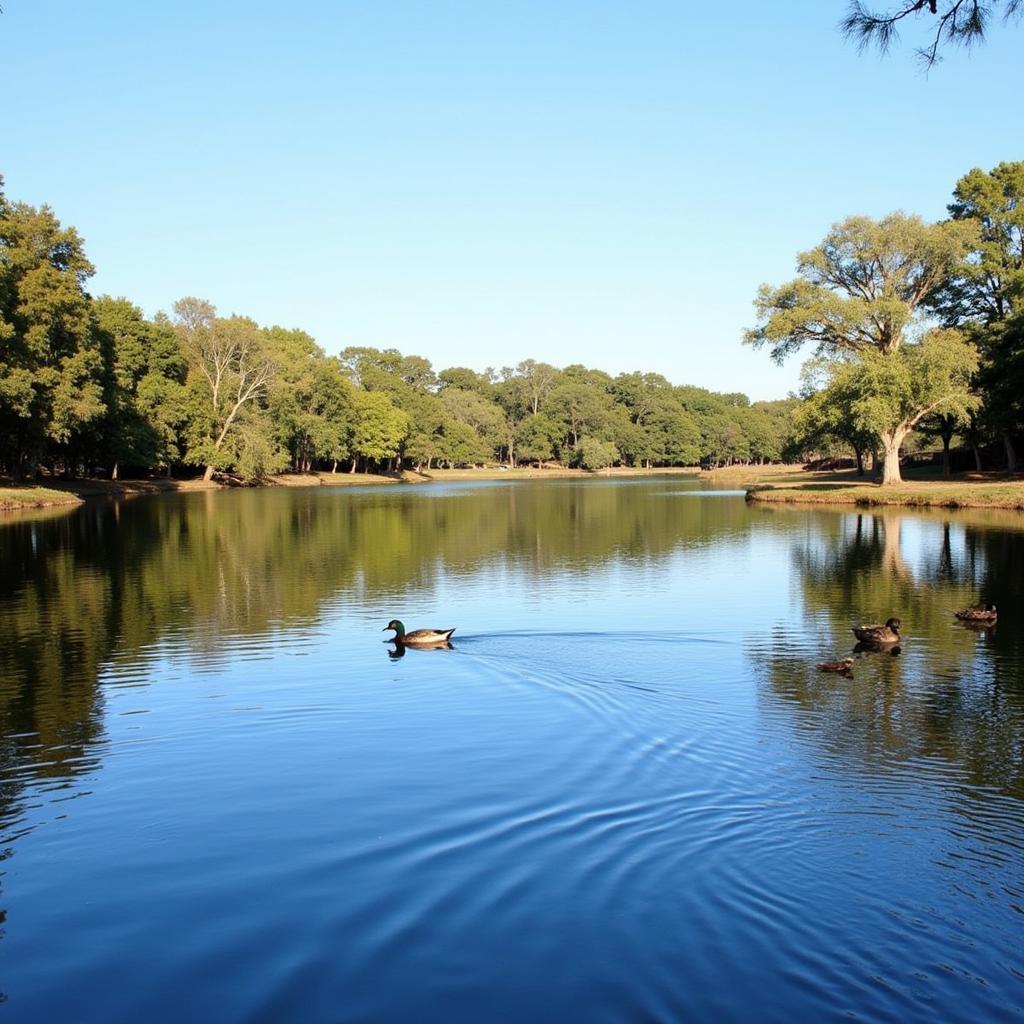 Arbor Park Slough: Thiên nhiên thanh bình