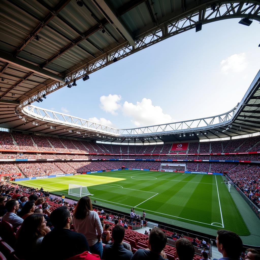 Bên trong sân Vodafone Park