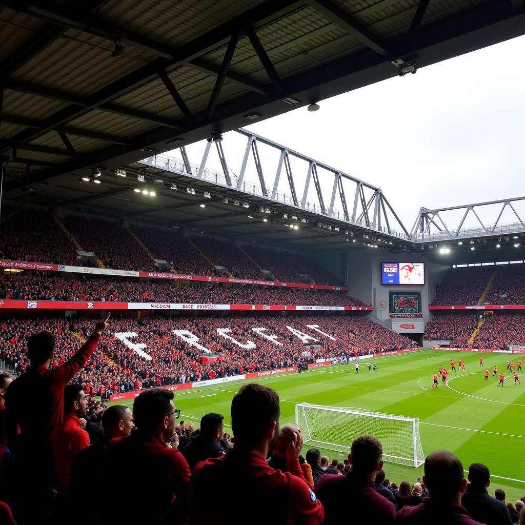 Bramall Lane Stadium Kop Stand