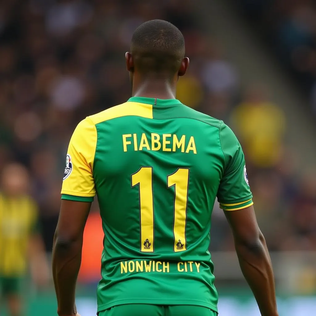 Bryan Fiabema trong màu áo Norwich City