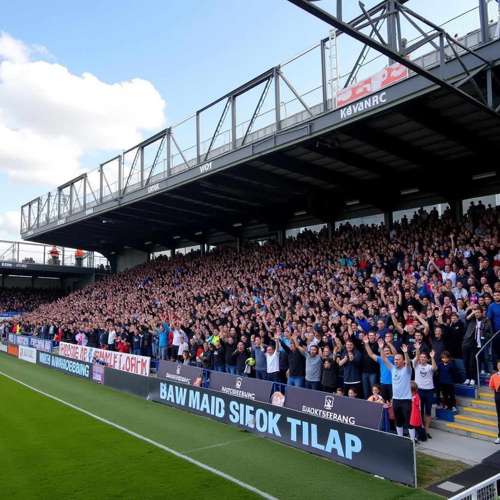 Falkenberg FF fans