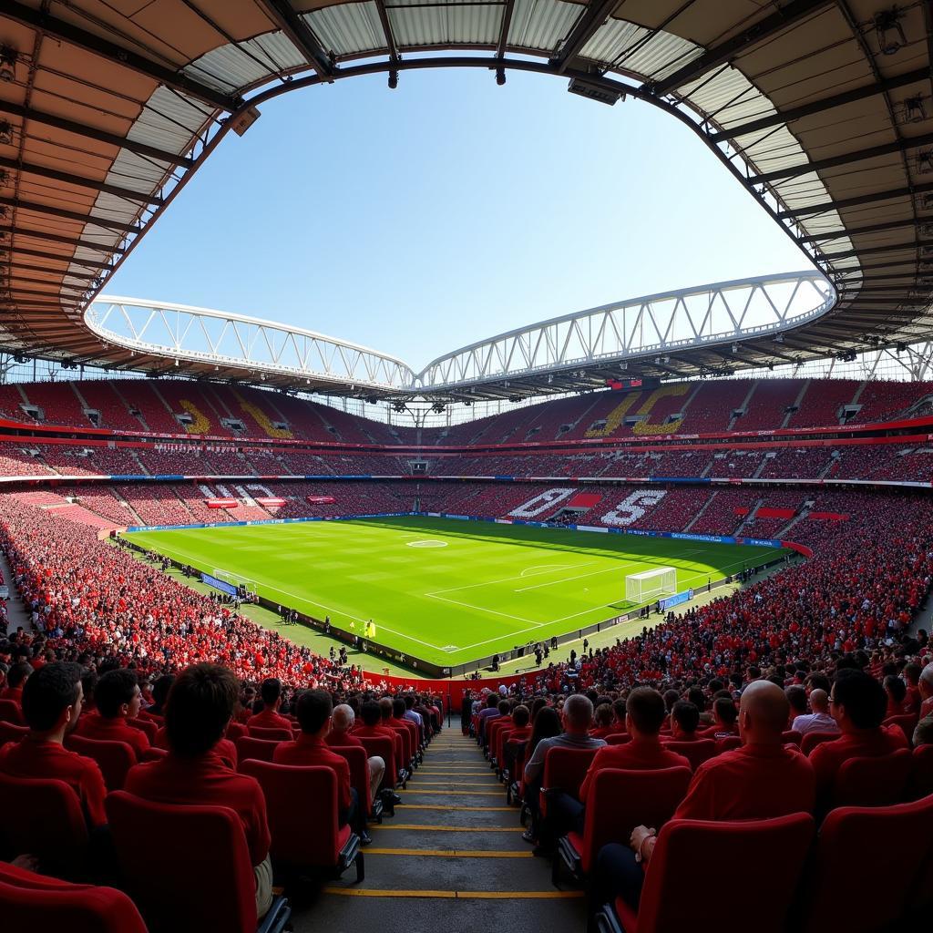 Sân vận động Estádio da Luz của Benfica