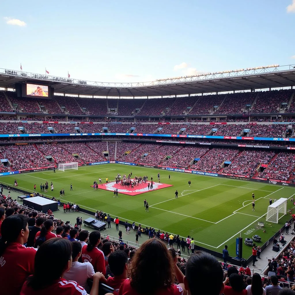 Estadio de Santa Ana sự kiện văn hóa