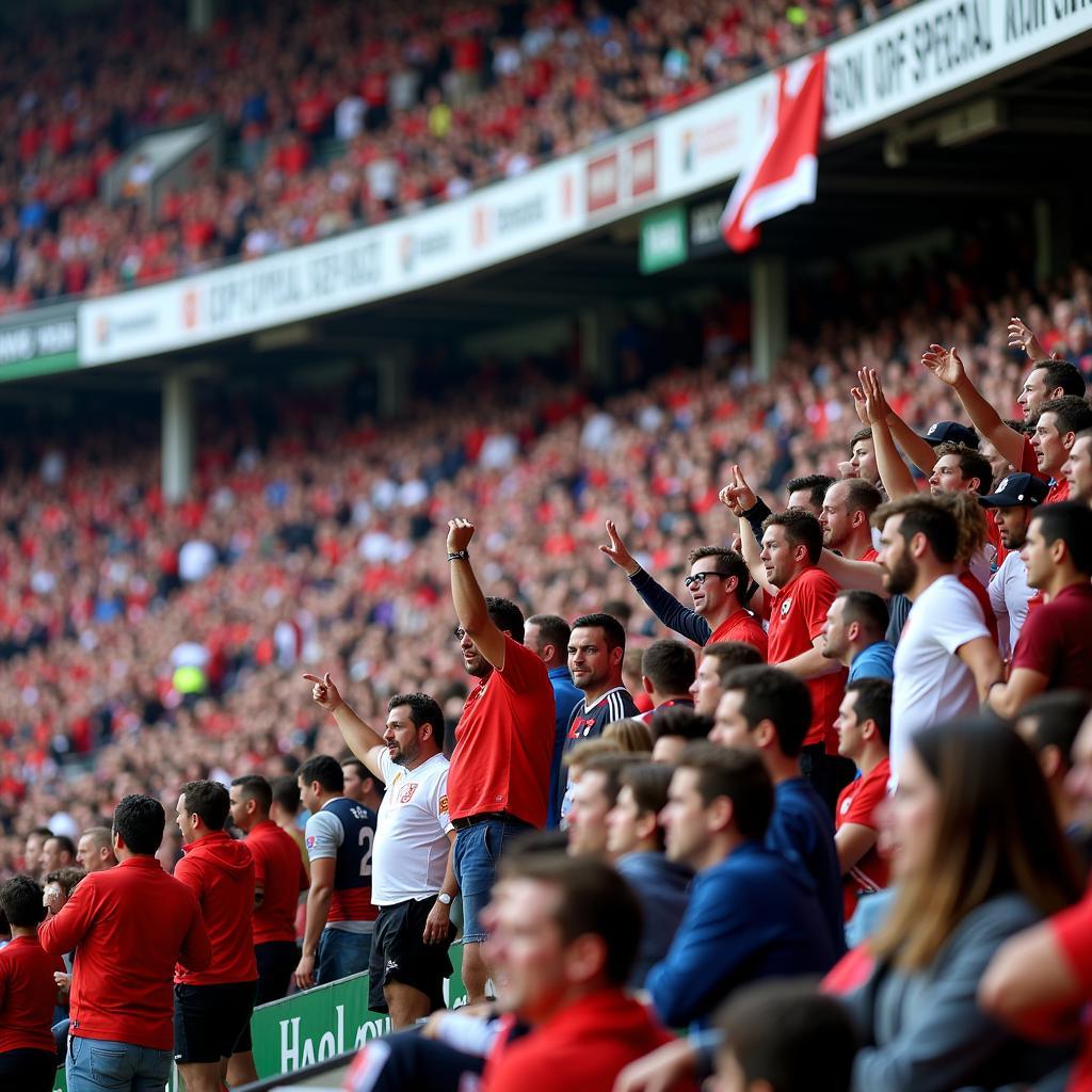 Khán đài John Smiths Stadium chật kín khán giả