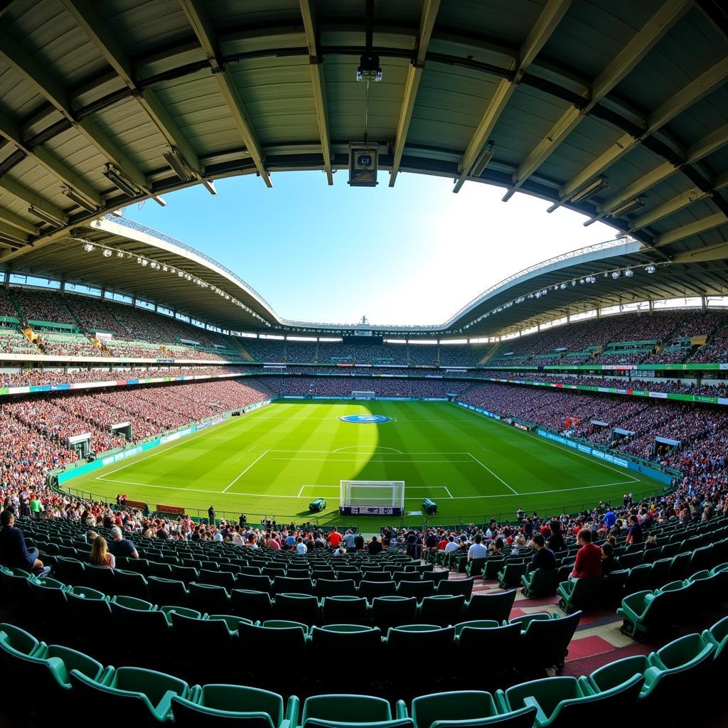 Interior View of Baniyas Stadium