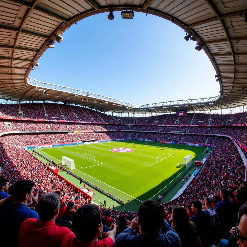 Logrones FC at Estadio Municipal Las Gaunas