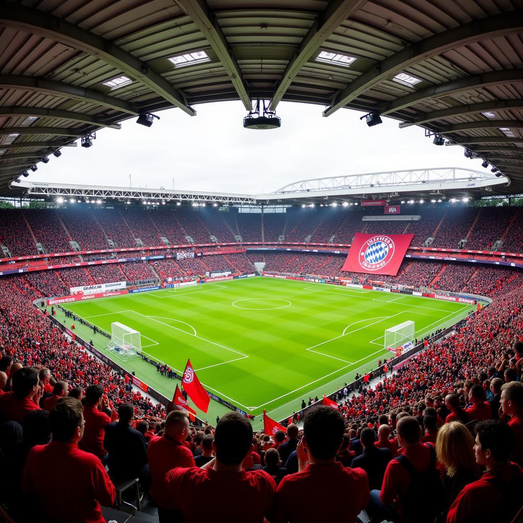 The Passion of Bayer Leverkusen Fans