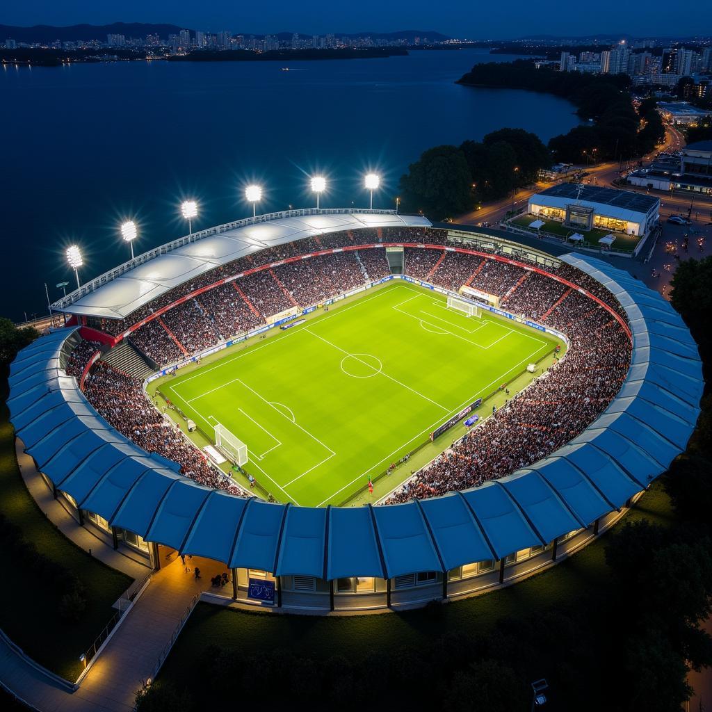 Nilton Santos Stadium Aerial View