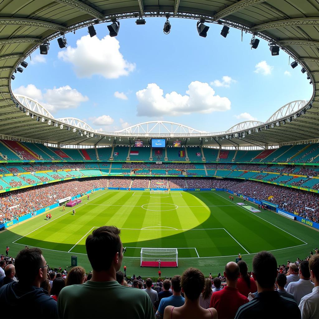 Nilton Santos Stadium trong Thế vận hội Mùa hè 2016