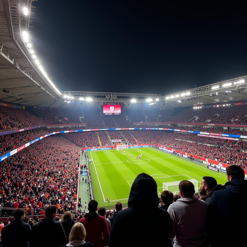 Hình ảnh khán đài Rhein-Neckar-Arena