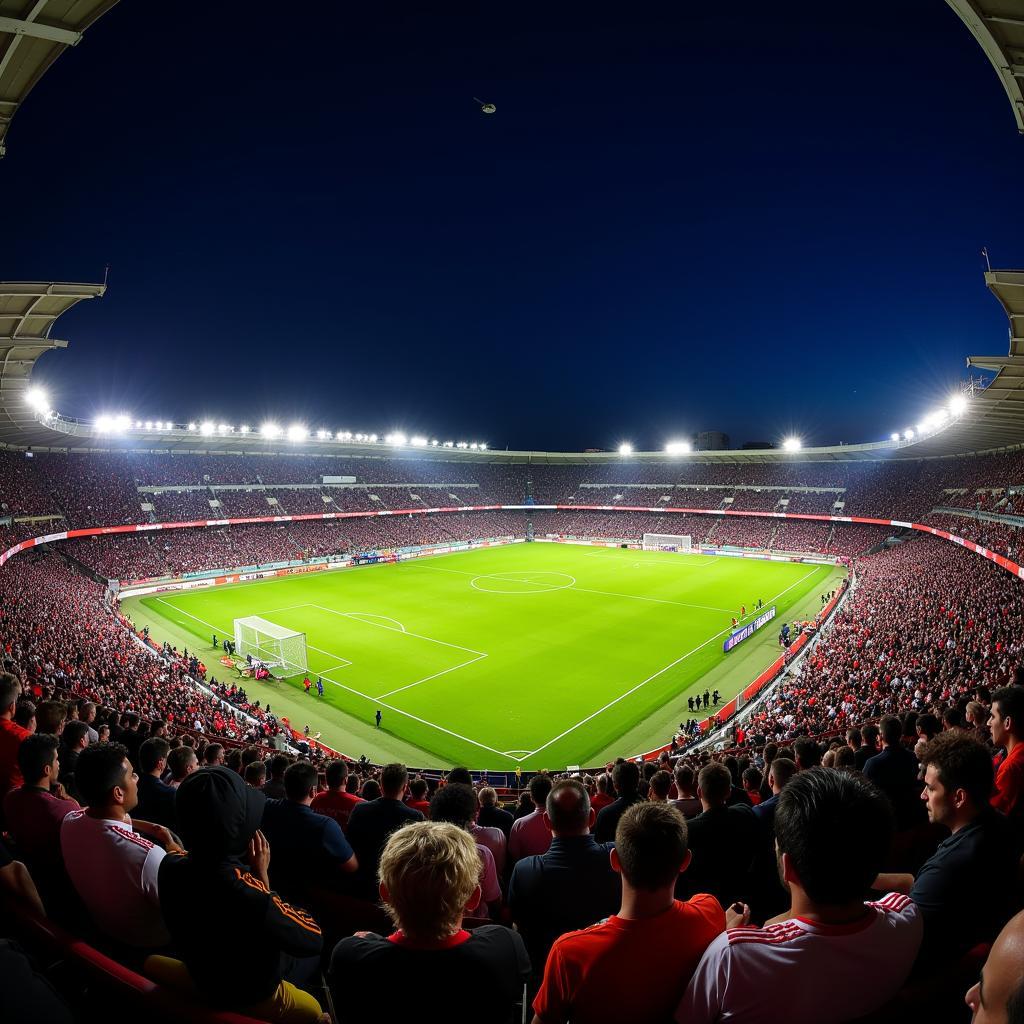 Sân vận động Estadio Hilario Sánchez, sân nhà của câu lạc bộ bóng đá San Martín de San Juan, tọa lạc tại tỉnh San Juan, Argentina, rực sáng trong đêm với ánh đèn pha và khán đài đông nghịt khán giả.