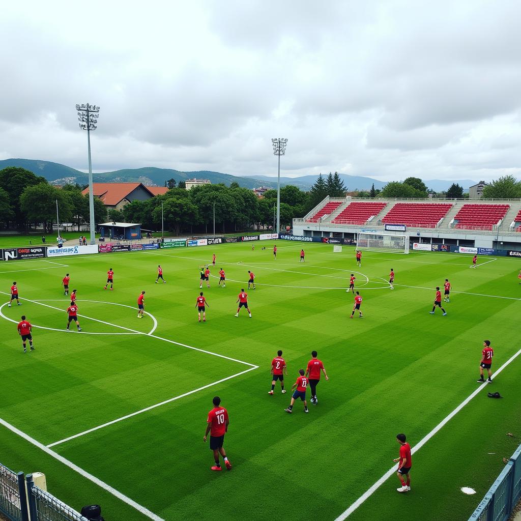 Sporting Braga youth academy training session