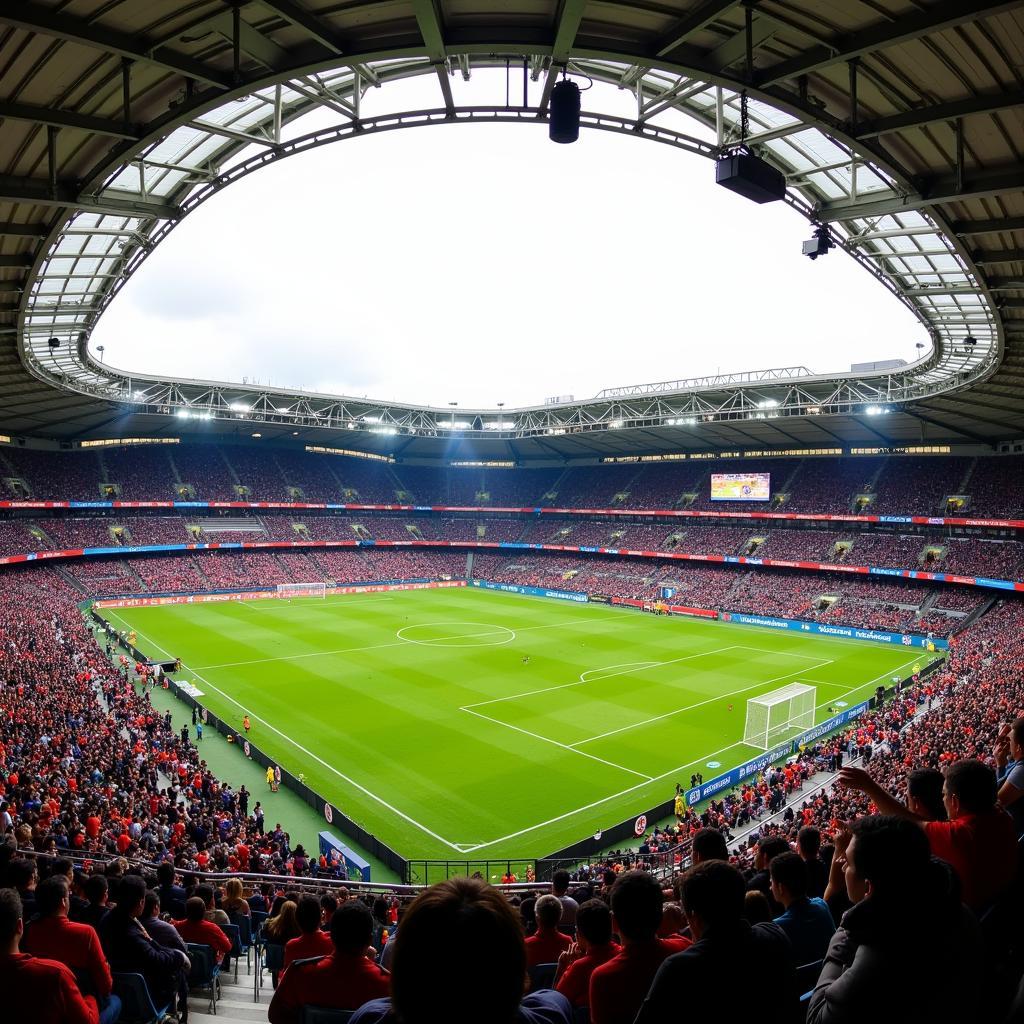 The electrifying atmosphere of a Copa Libertadores match at Libertad's stadium