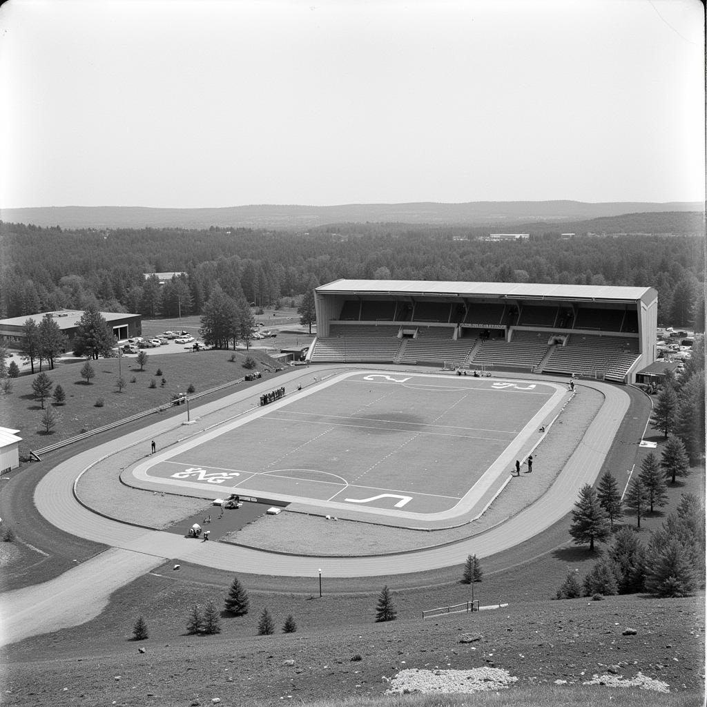 Cooley Stadium in its early days