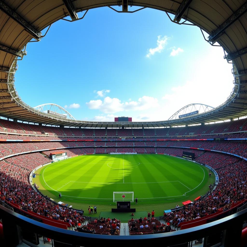 Estadio Polideportivo Sur Stadium