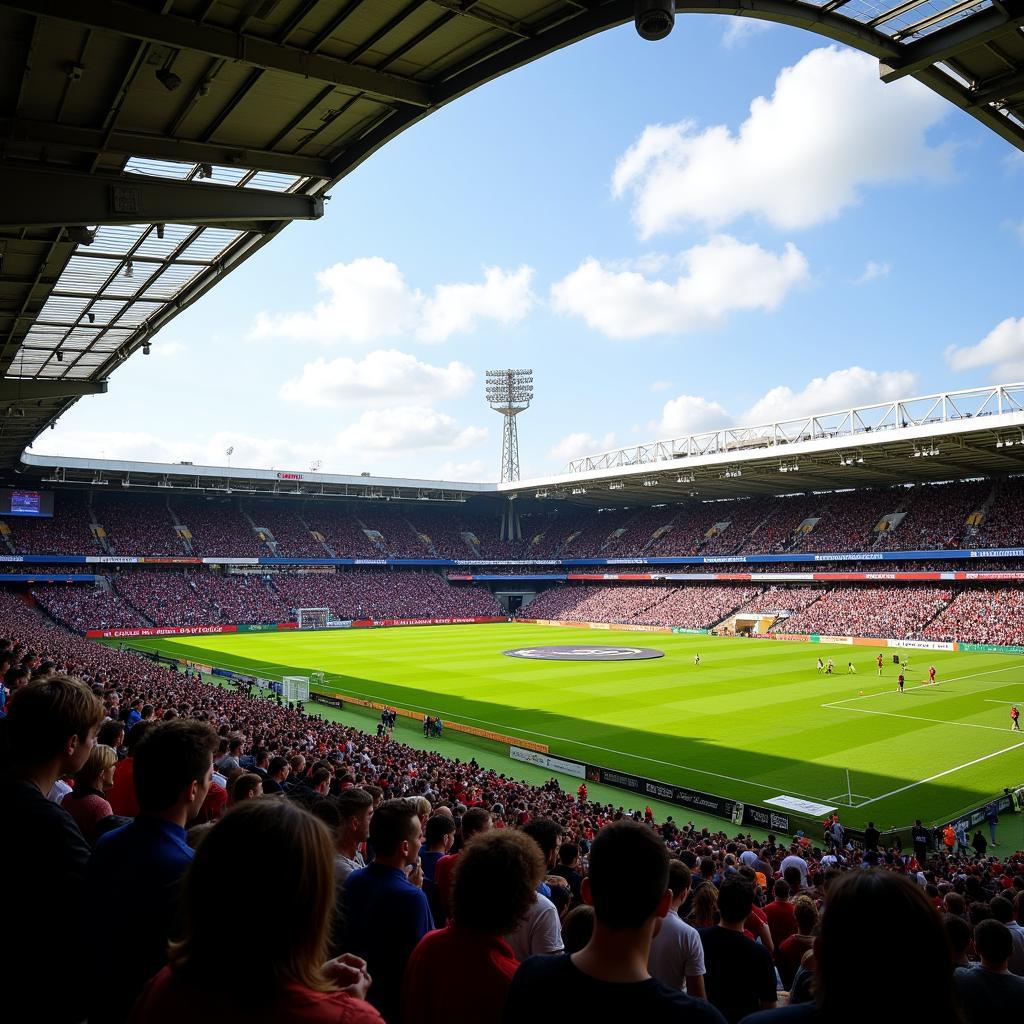 Hjørring Stadium packed with spectators during a match