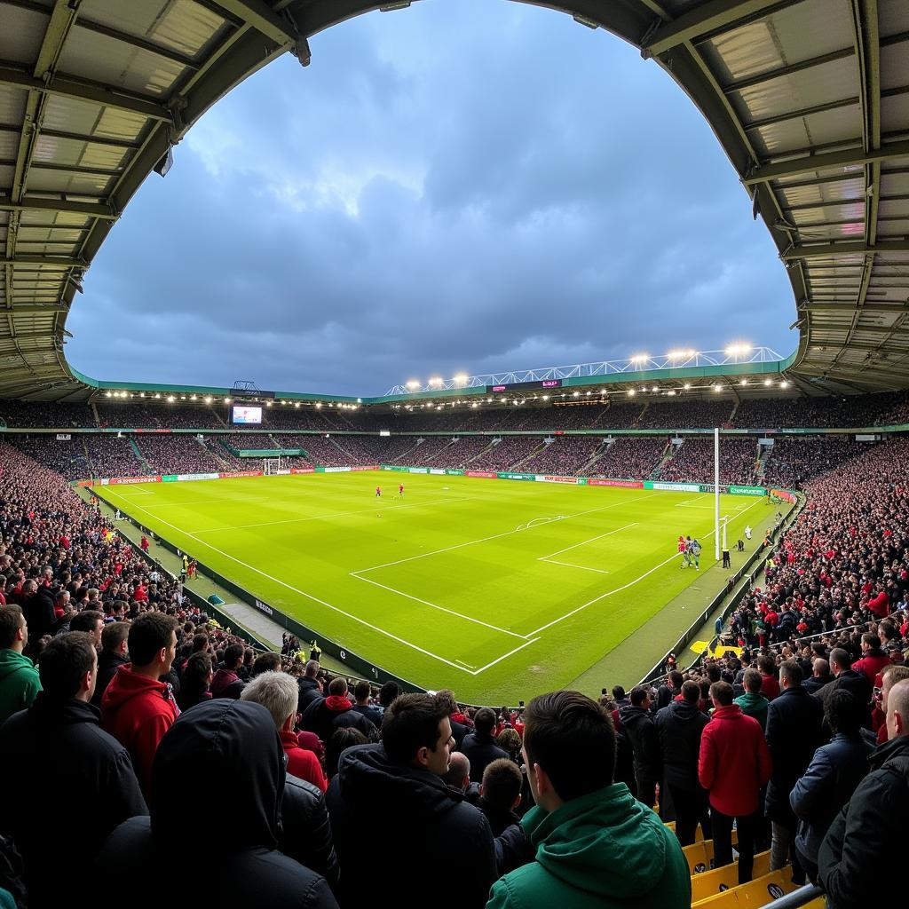 Thomond Park Limerick