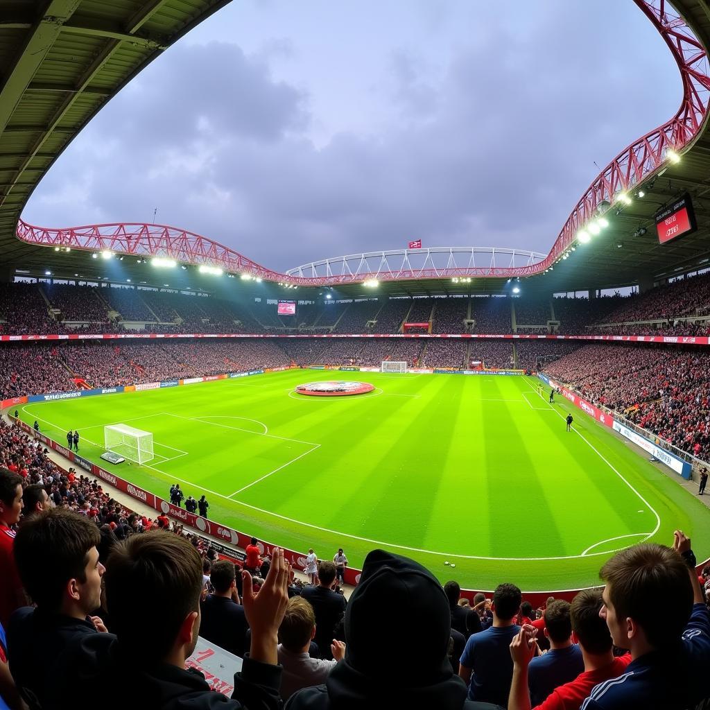 Sân vận động Stade René Gaillard, sân nhà của Chamois Niortais FC