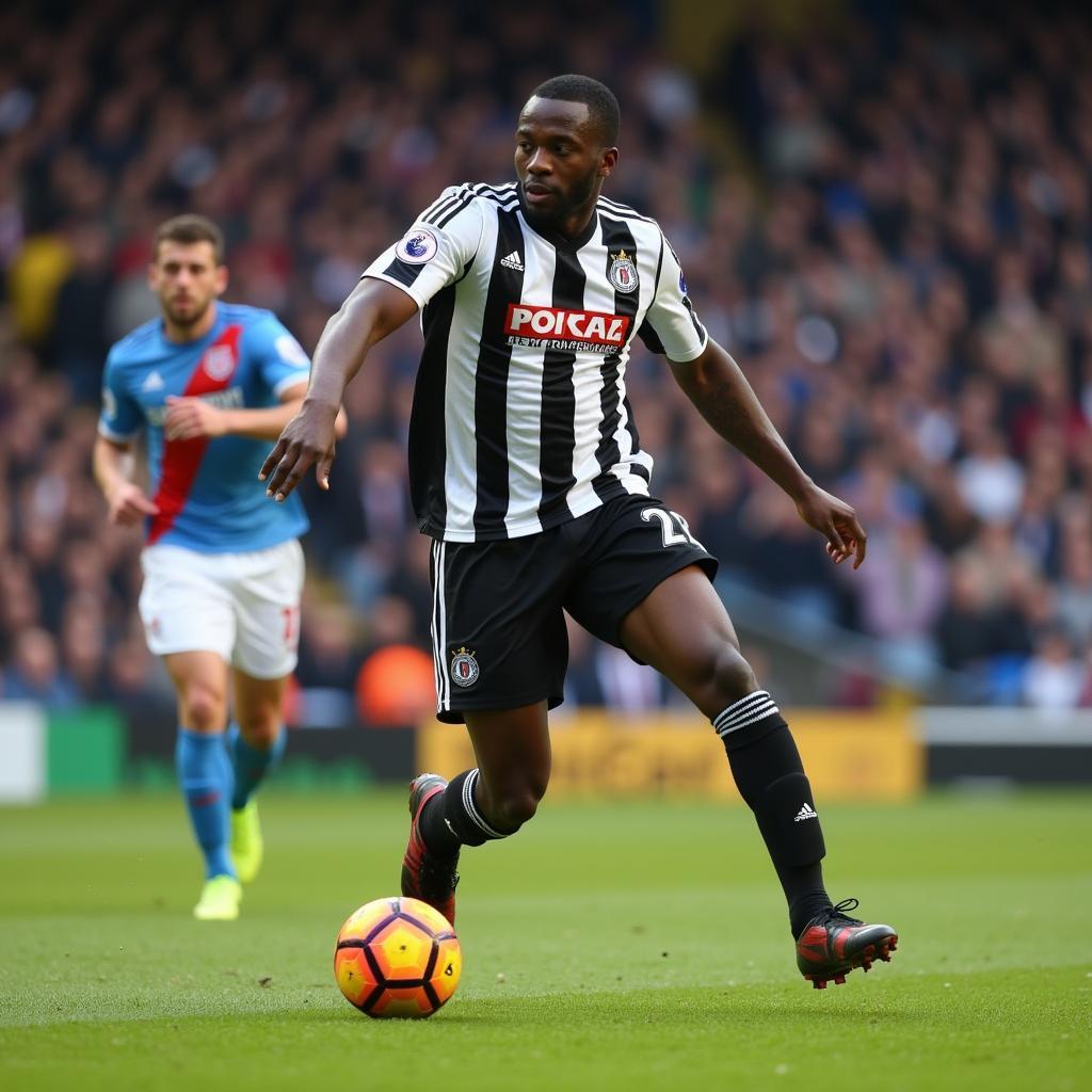 Charles N'Zogbia trong màu áo Newcastle United