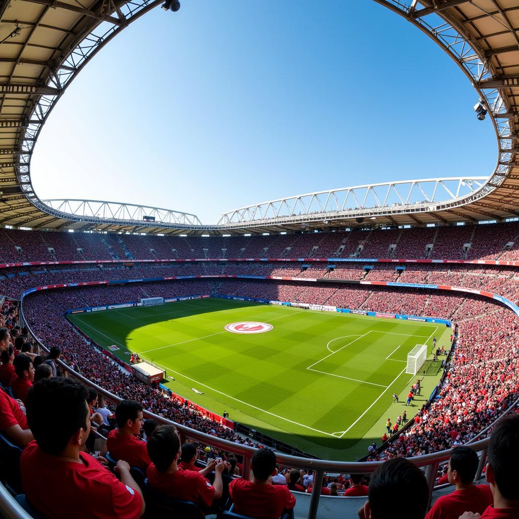 Sân vận động Cianorte FC
