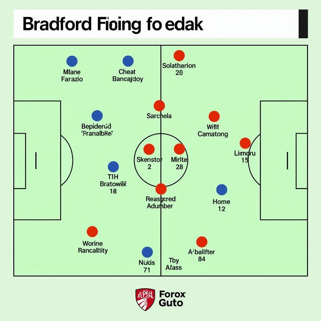 Đội hình Bradford FC