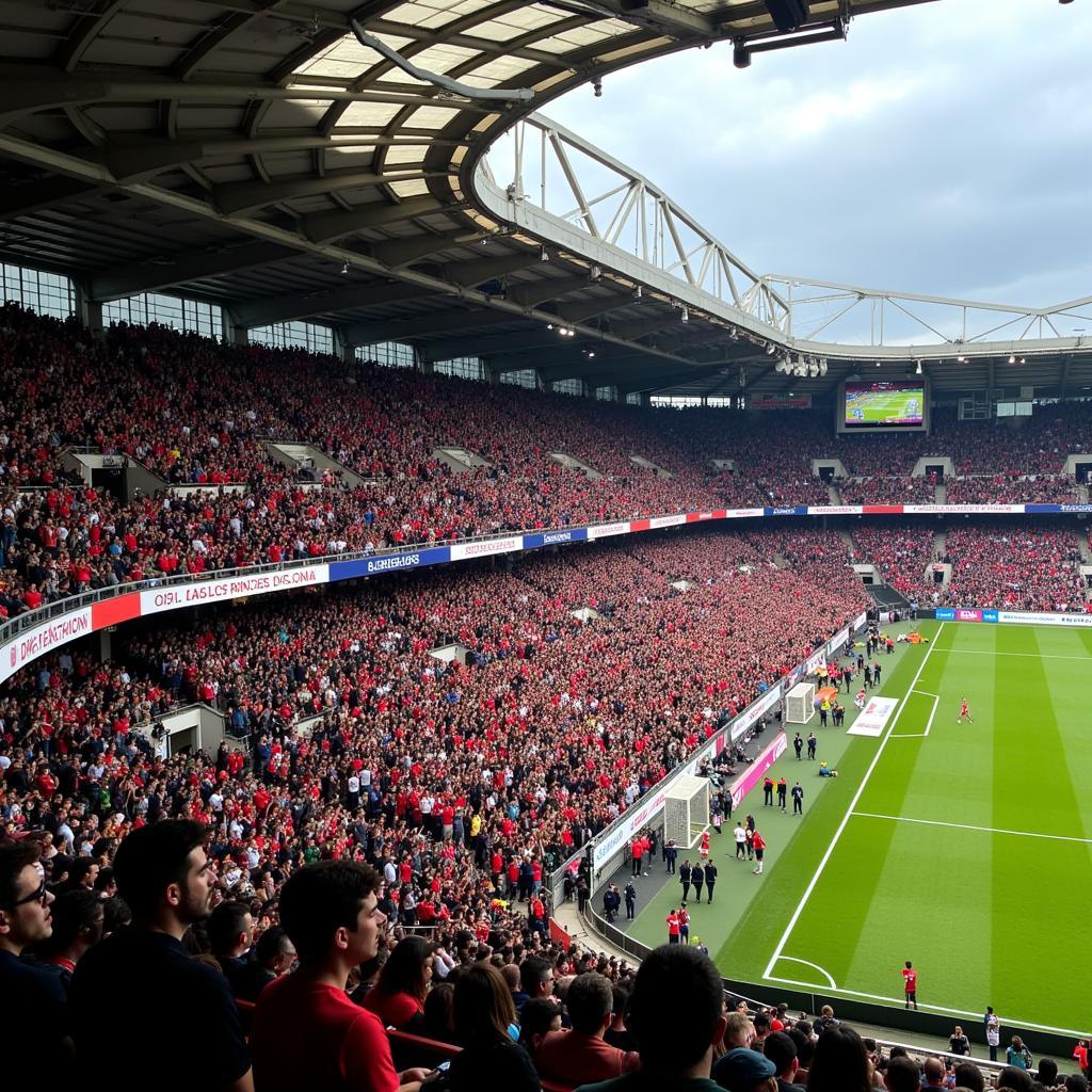 Khán đài Estádio Cidade de Coimbra chật kín khán giả trong một trận đấu bóng đá.