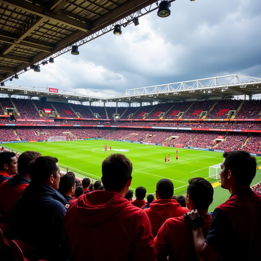 Khán đài sân vận động Stade Felix Houphouet Boigny