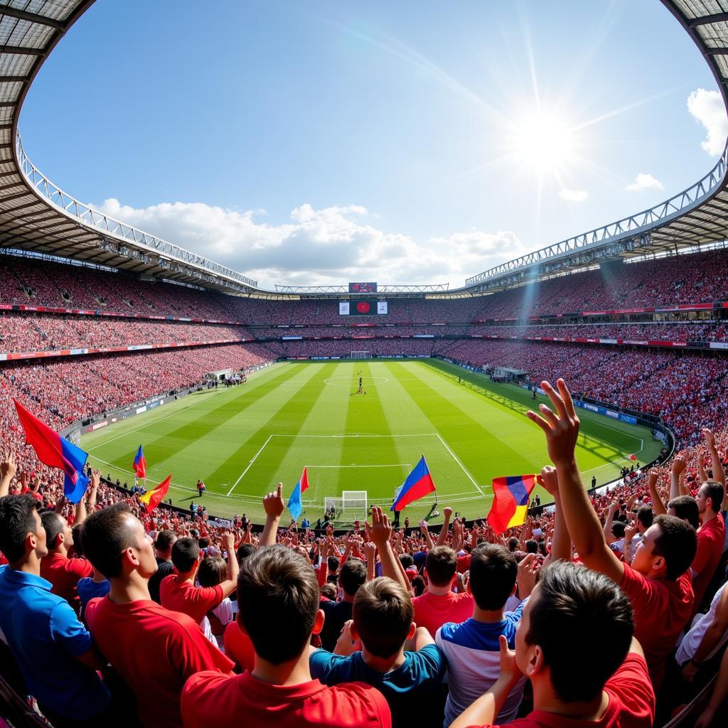 Khán giả cuồng nhiệt cổ vũ tại MFA Centenary Stadium.