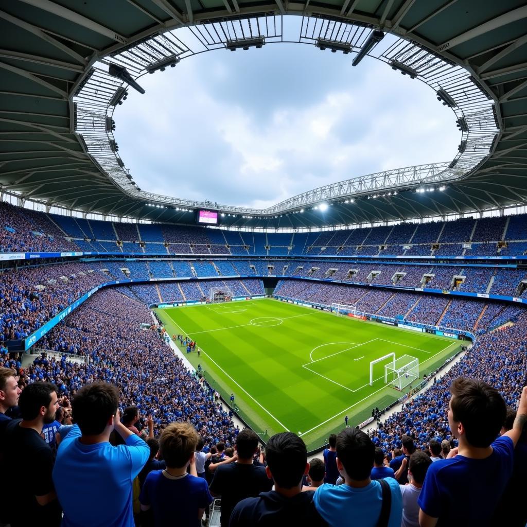 Người Hâm Mộ Olympique de Marseille