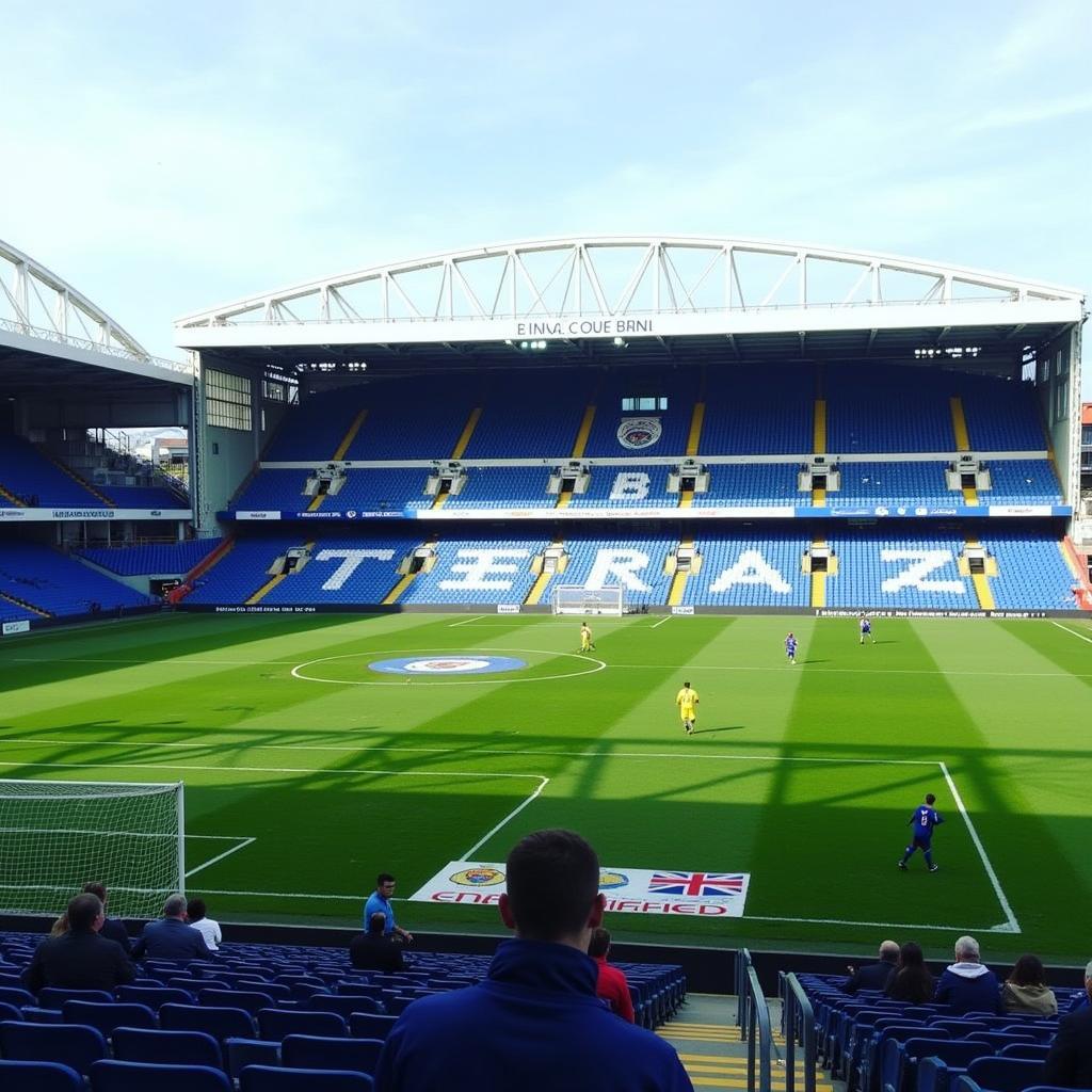 Sân vận động American Express Community Stadium của Brighton, nơi "Chim Mòng Biển" tung cánh.