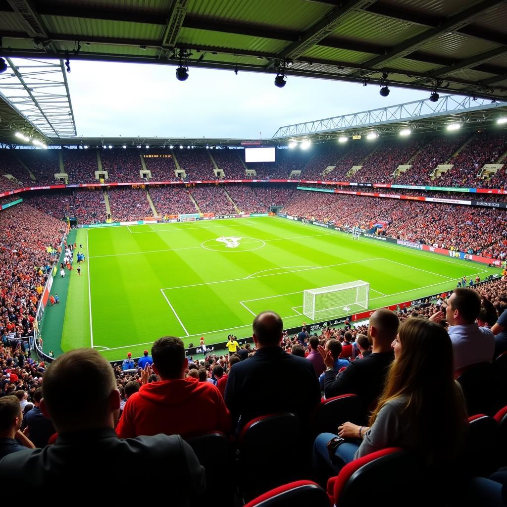 Sân vận động Arandina Stadium trong một trận đấu bóng đá sôi động, với khán đài chật kín khán giả.
