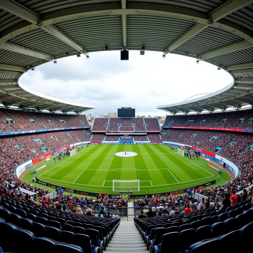 Toàn cảnh sân vận động Estádio Municipal Eng. Manuel Branco Teixeira