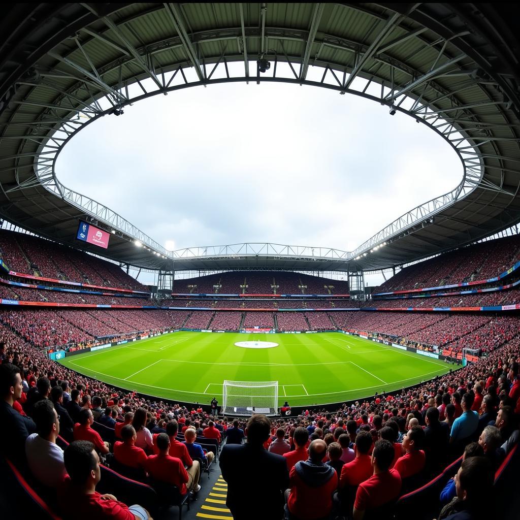 Toàn cảnh sân vận động King Baudouin Stadium