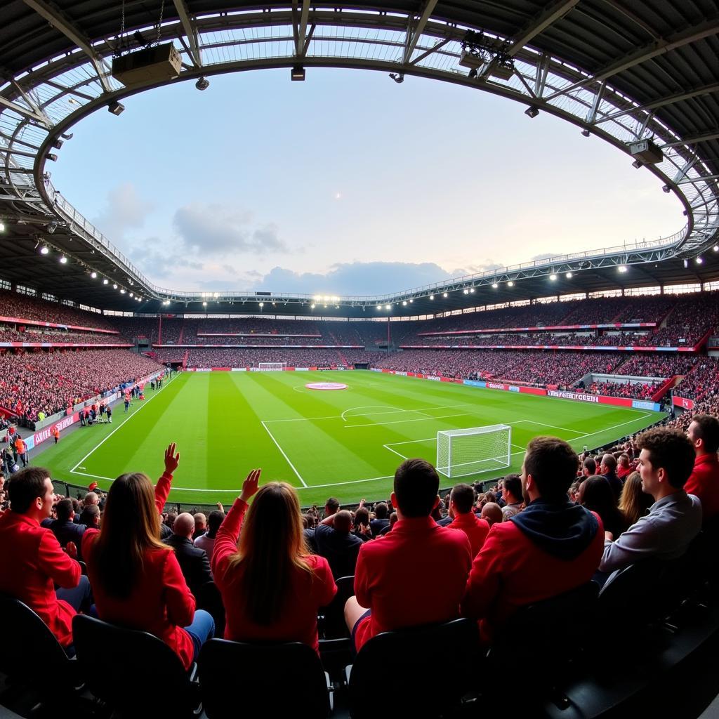 SV Hamburg Stadium Khán Đài