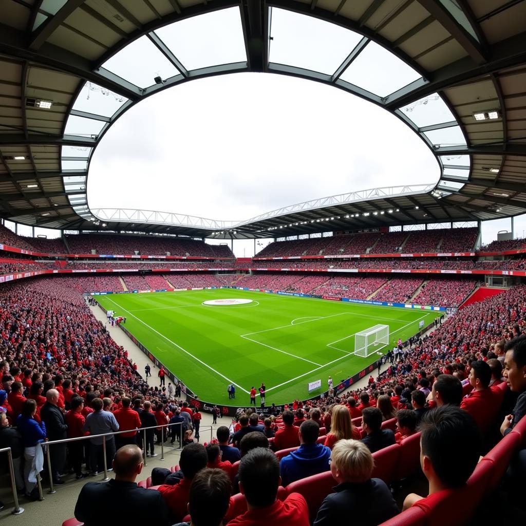 Toàn cảnh sân Broadhurst Park Manchester