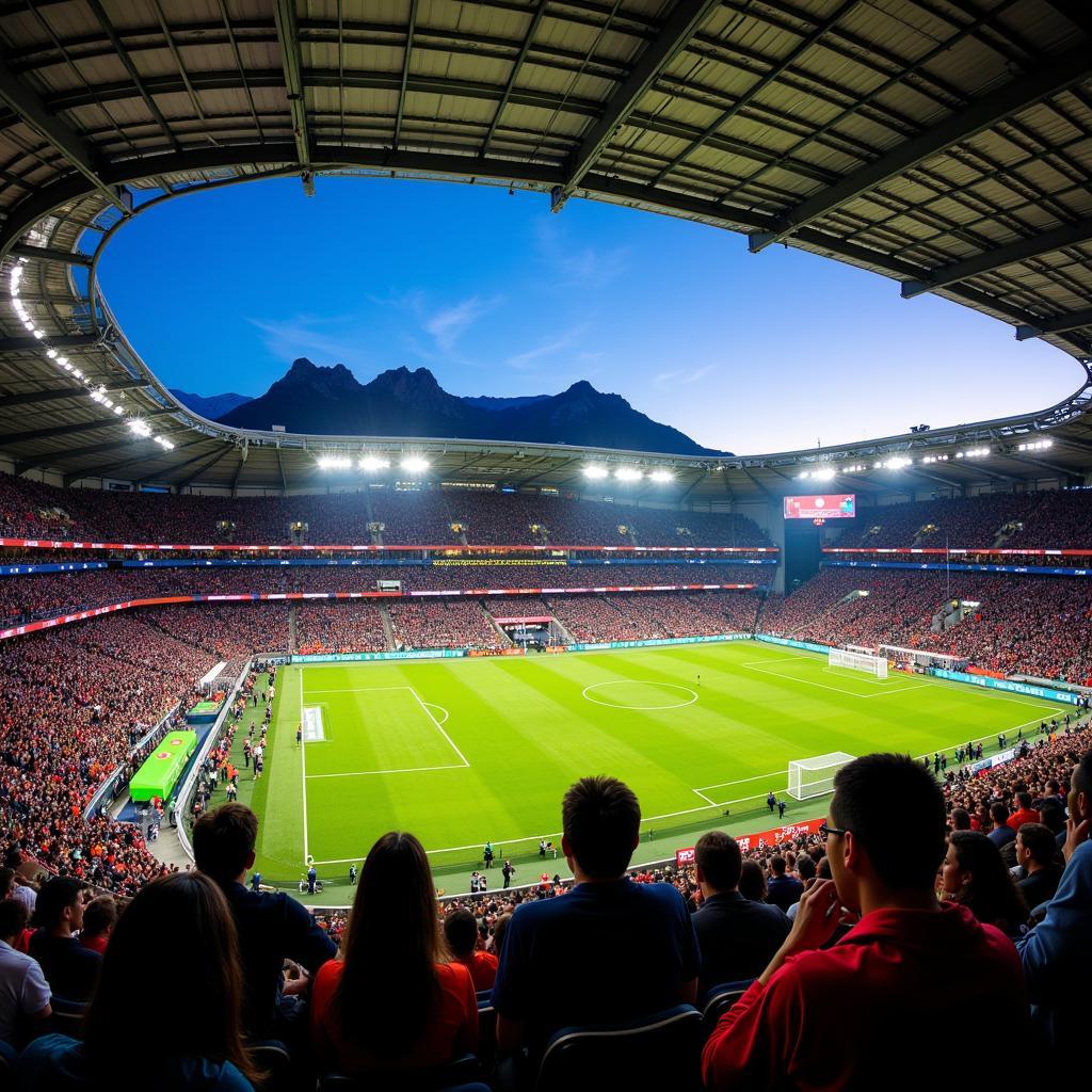 Khán đài Cape Town Stadium sôi động trong một trận đấu bóng đá.