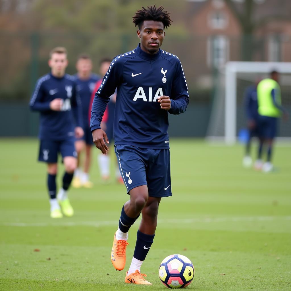Joshua Oluwayemi bắt đầu sự nghiệp tại Tottenham Hotspur.