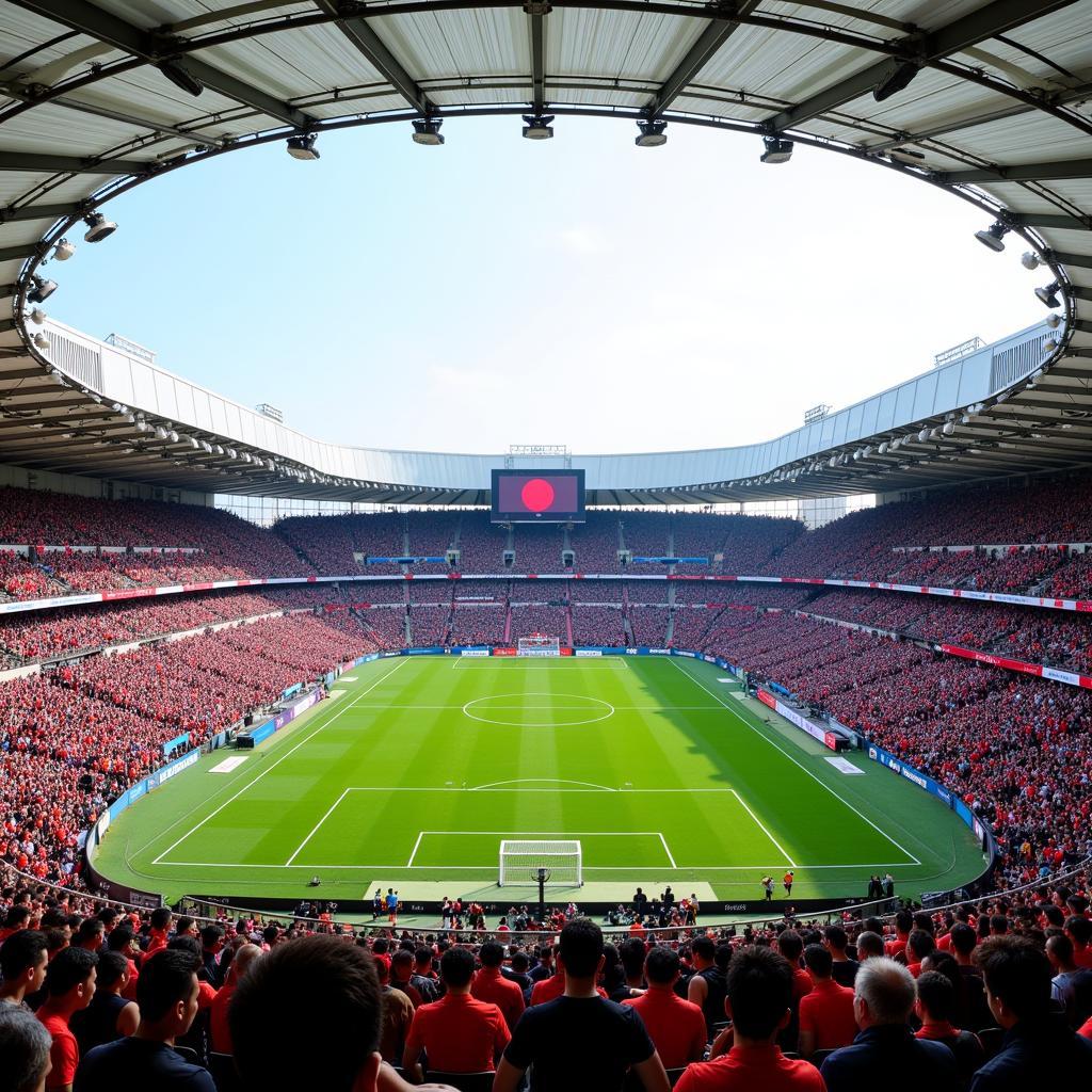 Sân vận động Jeju World Cup