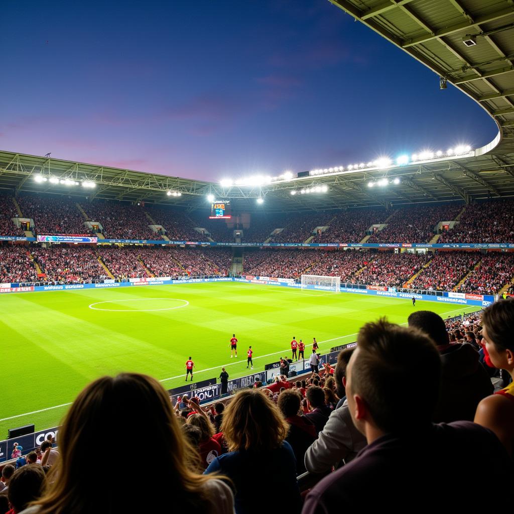 Hình ảnh sân vận động Stade Maurice Dufrasne với khán đài đông nghịt người hâm mộ trong một trận đấu quan trọng.