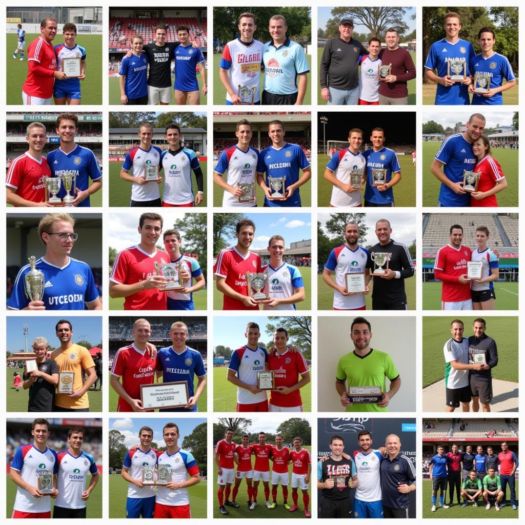 Thành tích nổi bật của Dandenong City Soccer Club