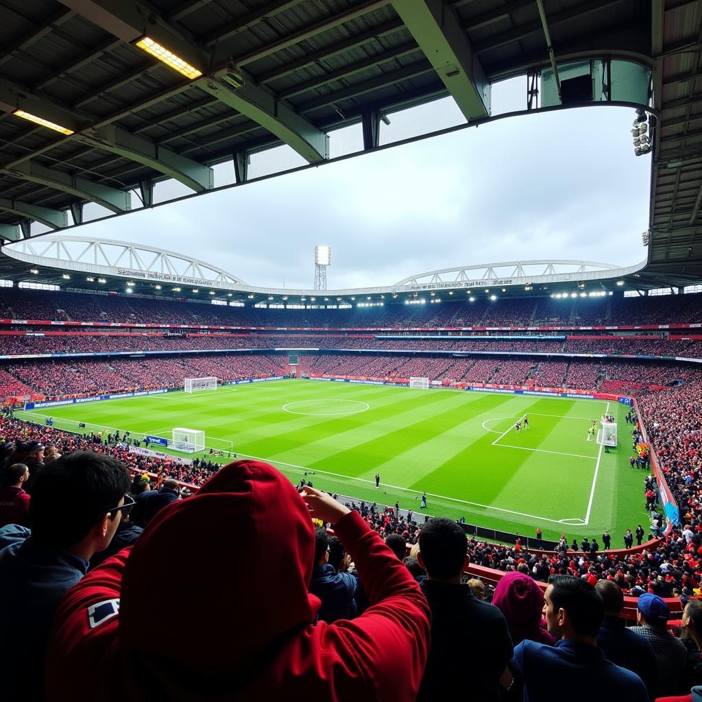 Al Nasr Stadium Khán Đài