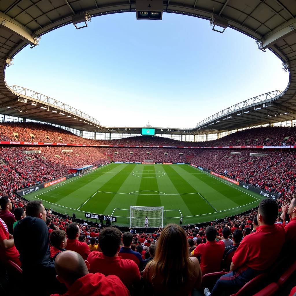 Toàn cảnh Belson Stadium với khán đài đông nghẹt người hâm mộ trong một trận đấu bóng đá.