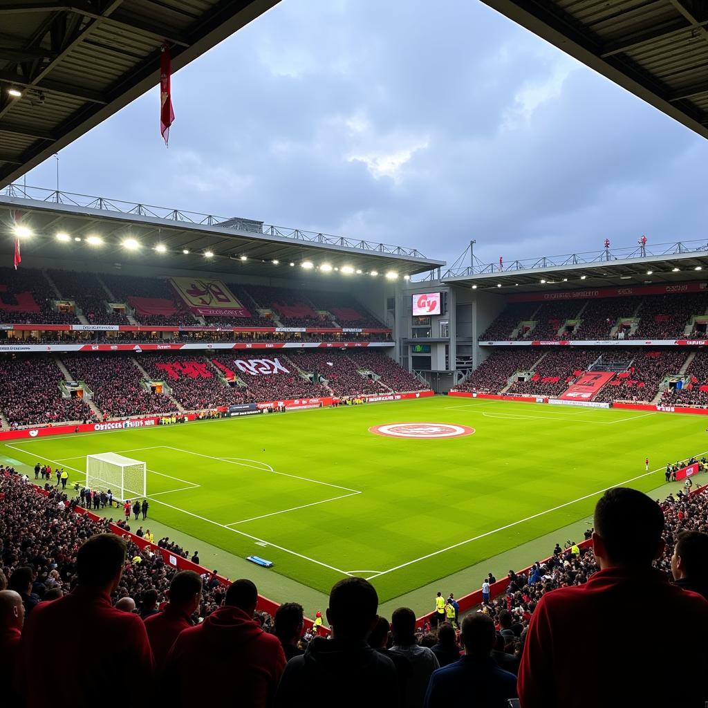 Sân Vận Động Của Tychy Football Club